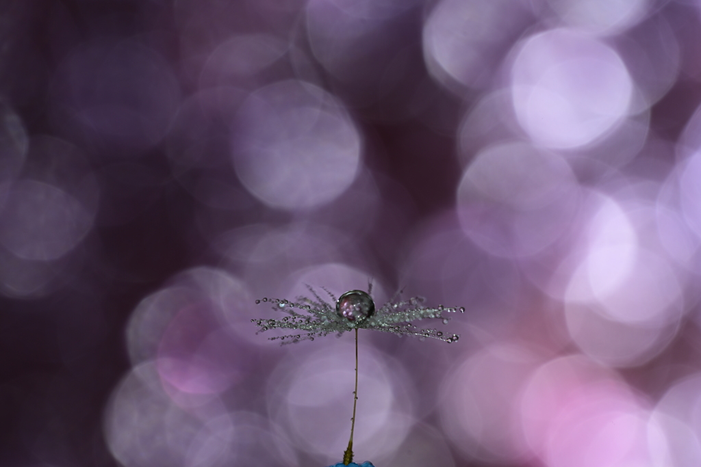 雫 20220902-3