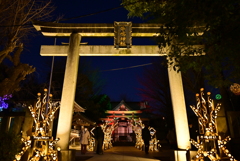 牛嶋神社…ライトアップ