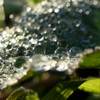雫集合