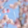 桜と飛行機雲