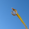 氷った雫in青空