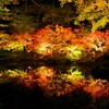 弥彦公園…リフレクション③