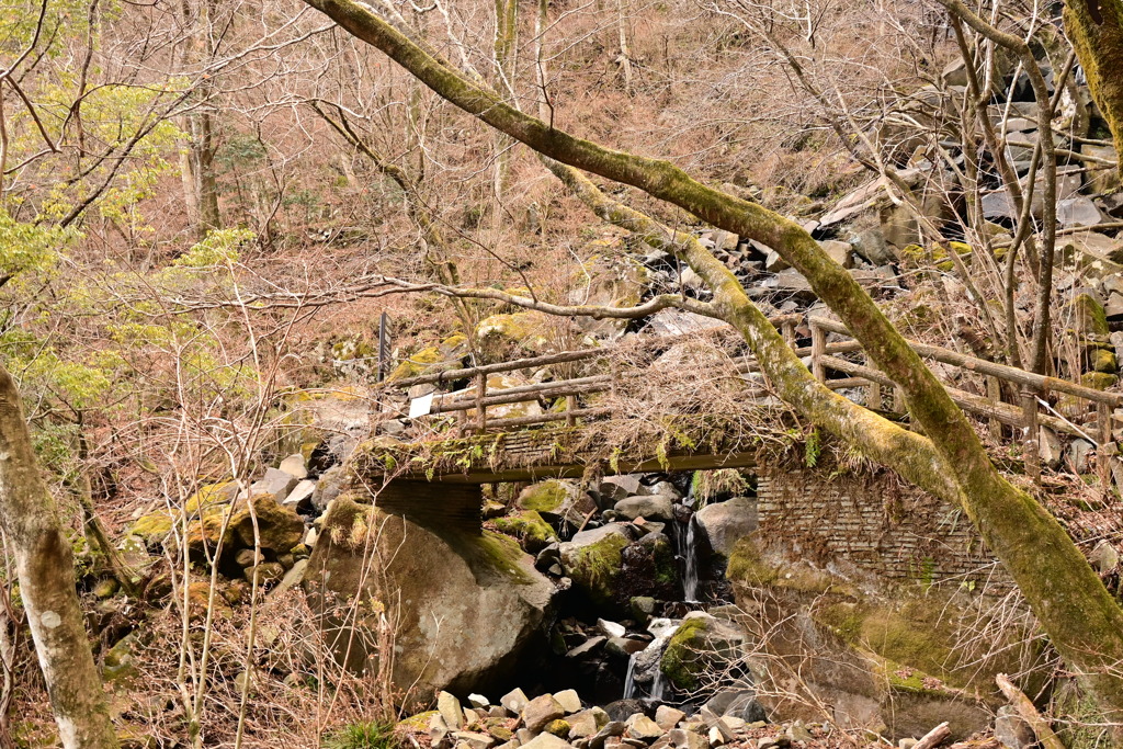 秘境の橋