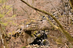 秘境の橋