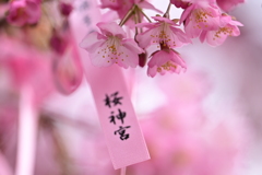 願い事