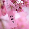 願い事