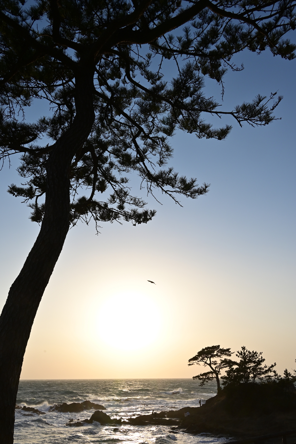立石公園 夕景