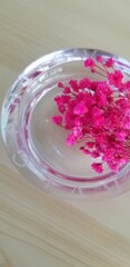 お花