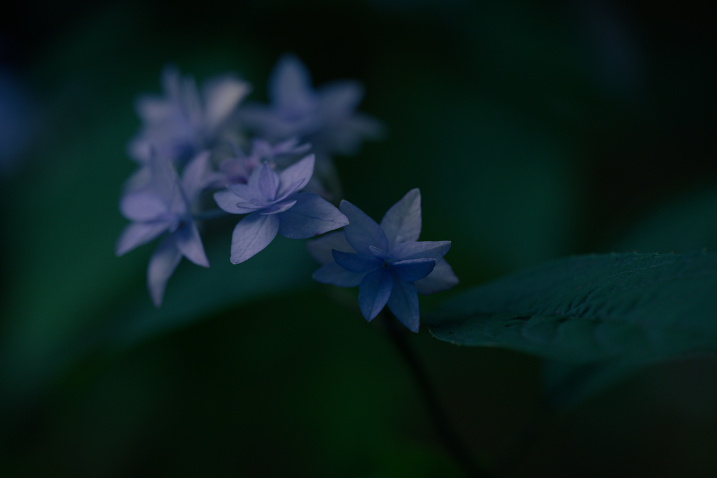 儚げ