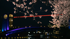 夜彩