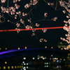 夜彩