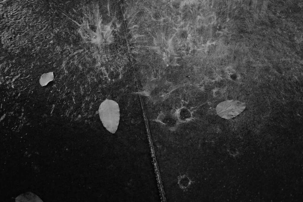 モノクロ練習１