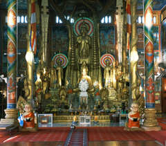 ゴールデンテンプル５