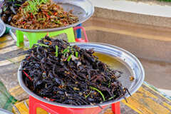 国連推奨食品４