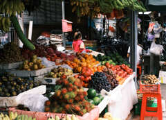 カンボジア生活　果物