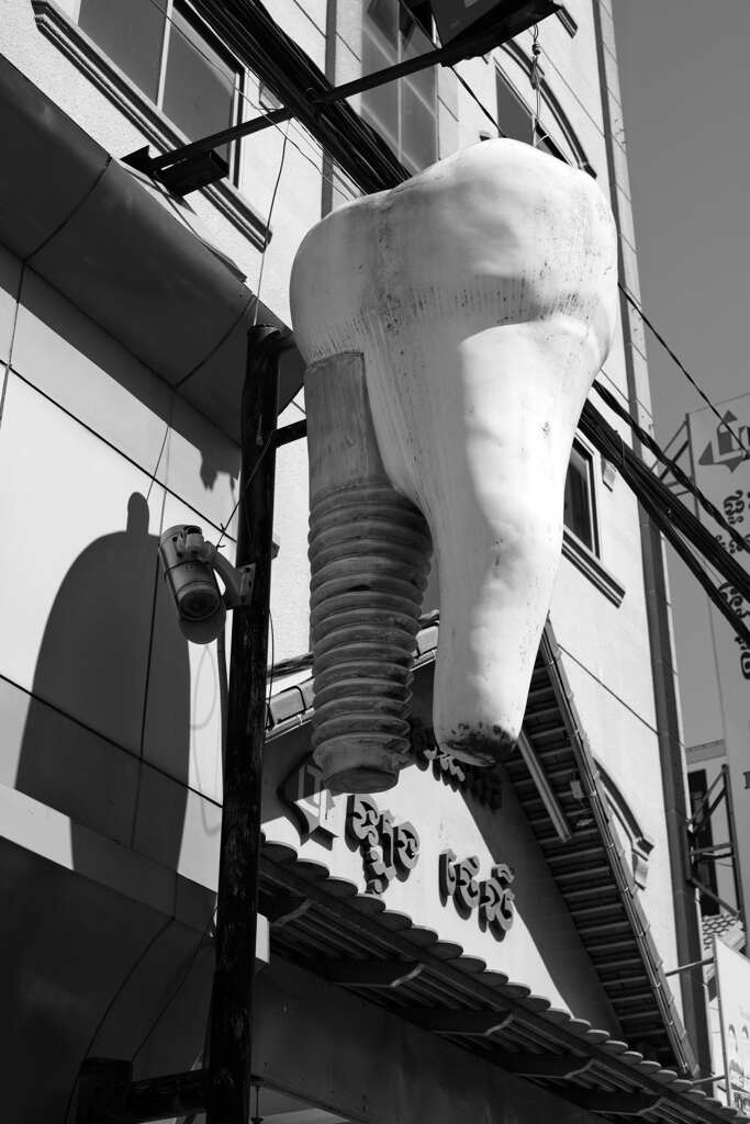 大きな歯