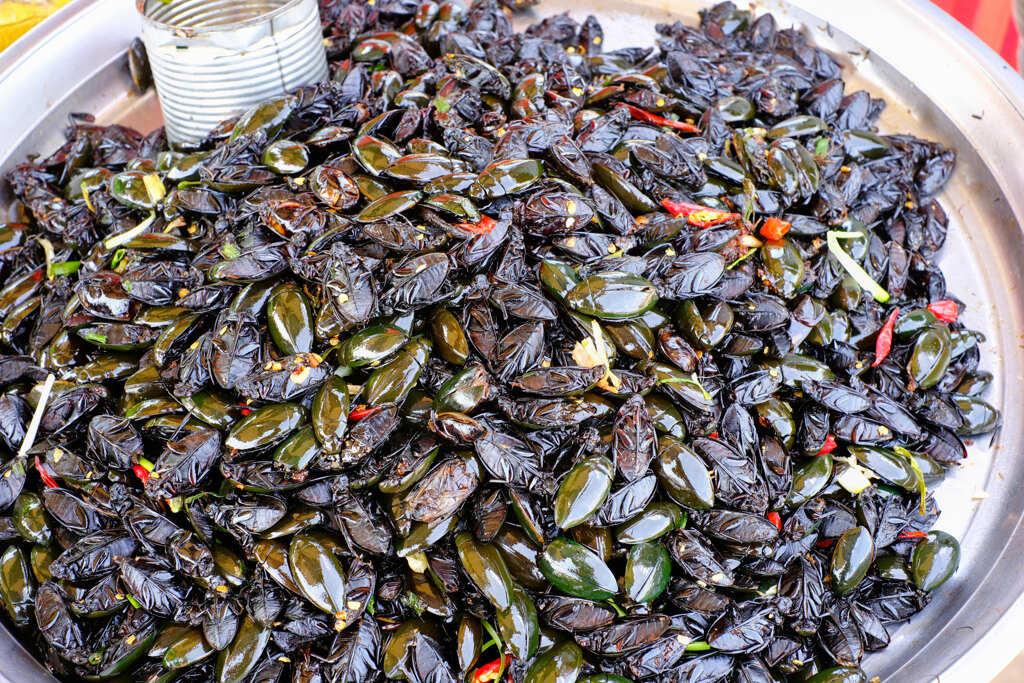 国連推奨食品２