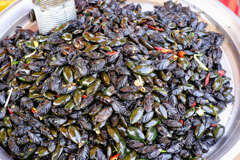 国連推奨食品２