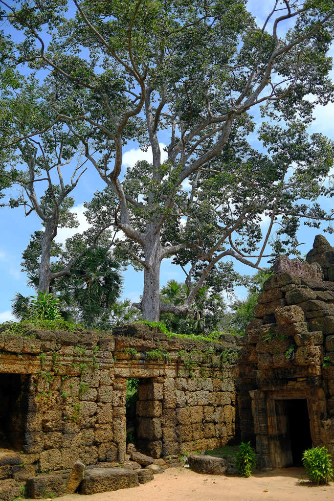 トンレバッティー遺跡３最終回