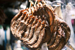 カンボジア生活　干物２