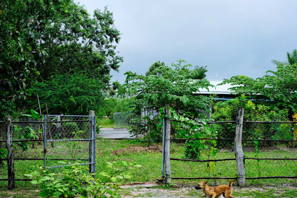 子供達の家　裏庭