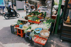 コロナ禍での限られた散歩４