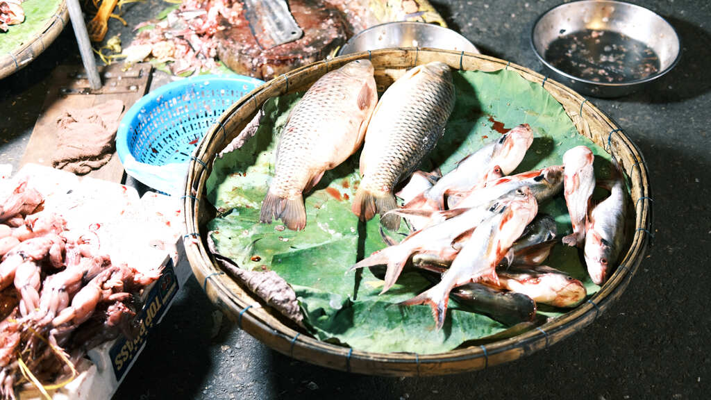川魚を好んで食べるクメール人