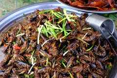 国連推奨食品３