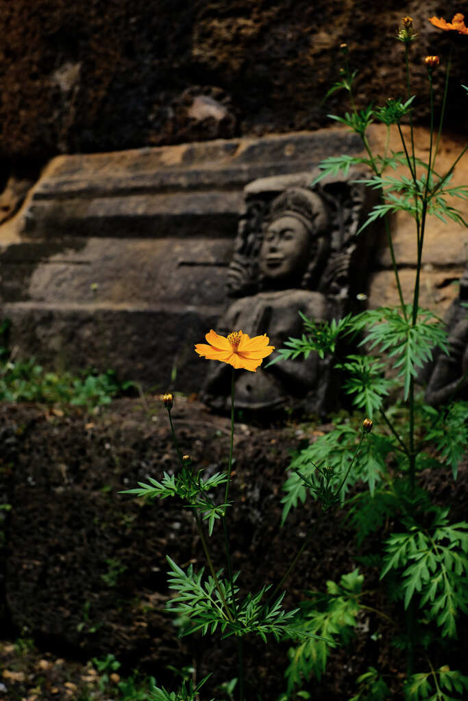 アンコール遺跡　プノンチソール寺院３