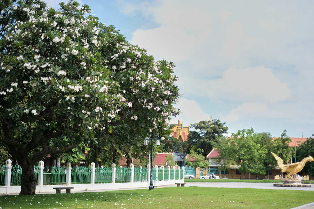 日本のODAによって整備された公園