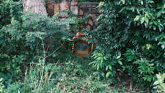 廃墟の前の神棚