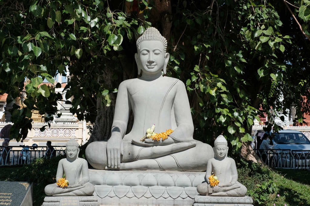 プレア　ビヒア　ワットボトム　タバダイ寺院　菩提樹の下の仏像