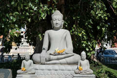 プレア　ビヒア　ワットボトム　タバダイ寺院　菩提樹の下の仏像