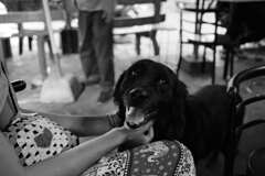 モノクロ練習８