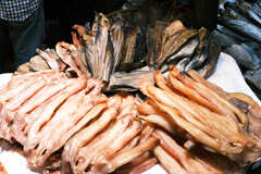 カンボジア生活　干物１