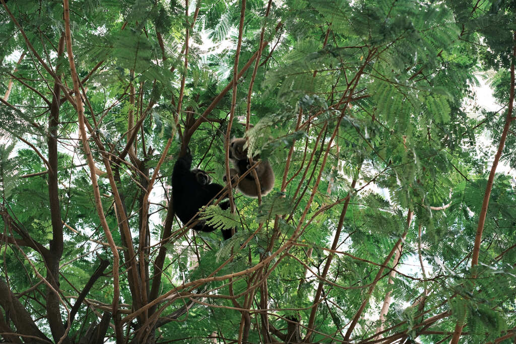 リチャードキンブル