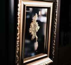 気怠い朝　額縁２