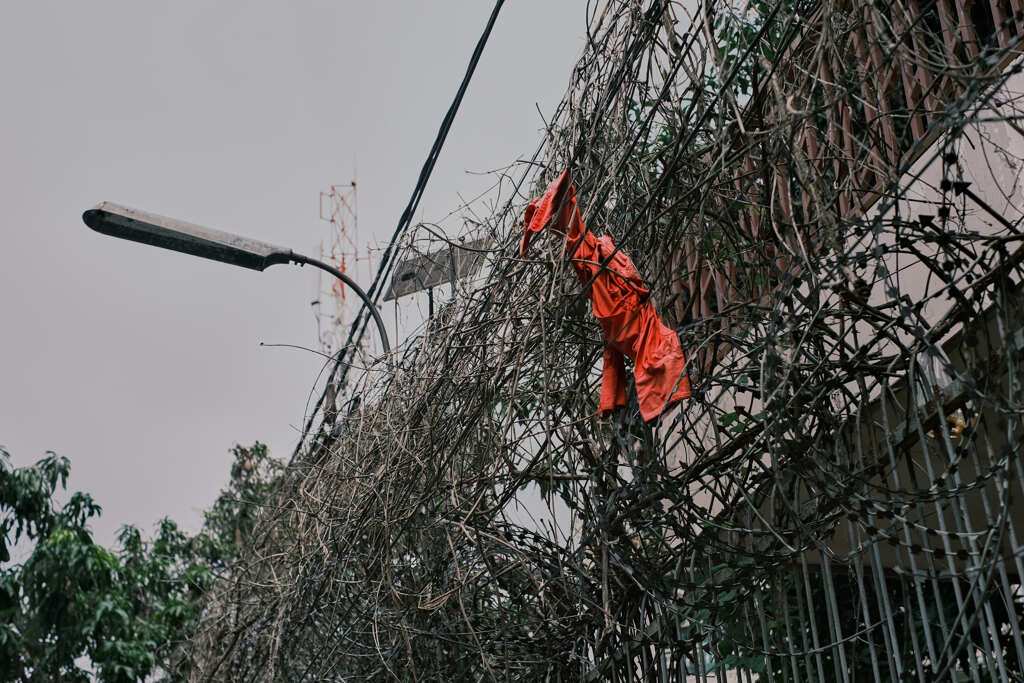 プノンペンの植物２