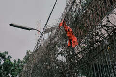 プノンペンの植物２