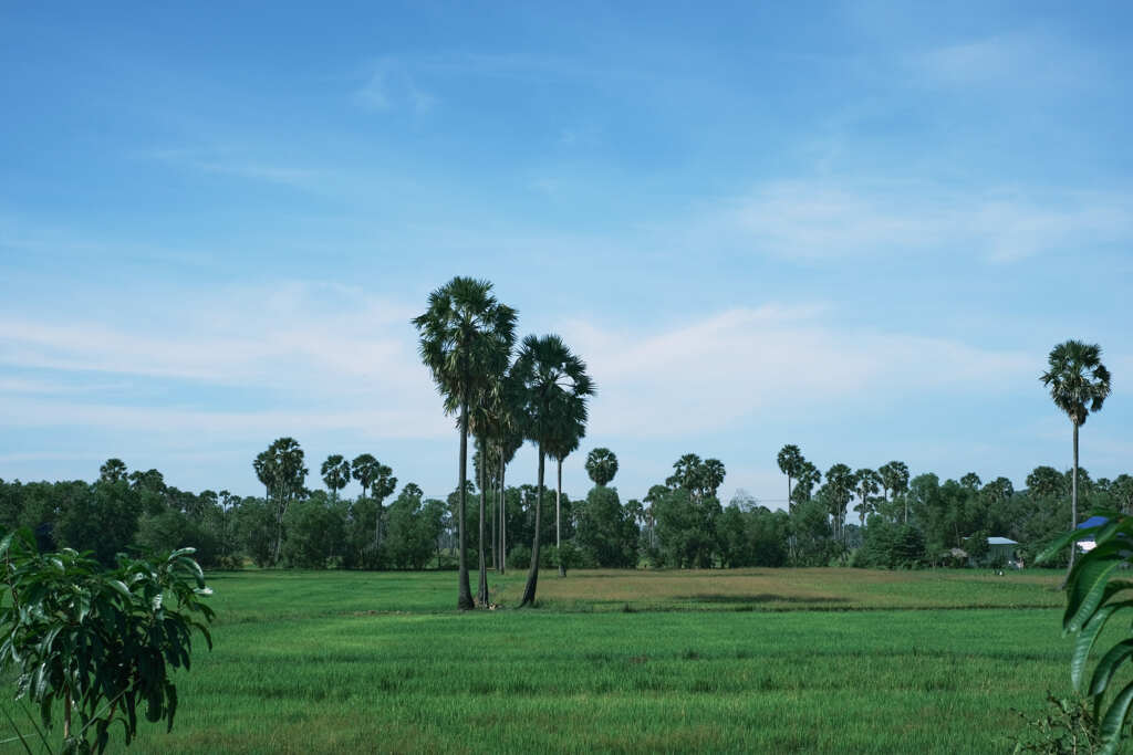 カンボジアの原風景４