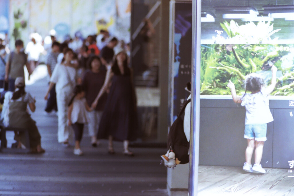 film   　そうだ 水族館行こう