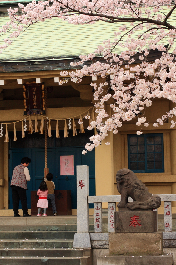 花参り