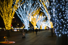 初日だけ混んでたイルミ