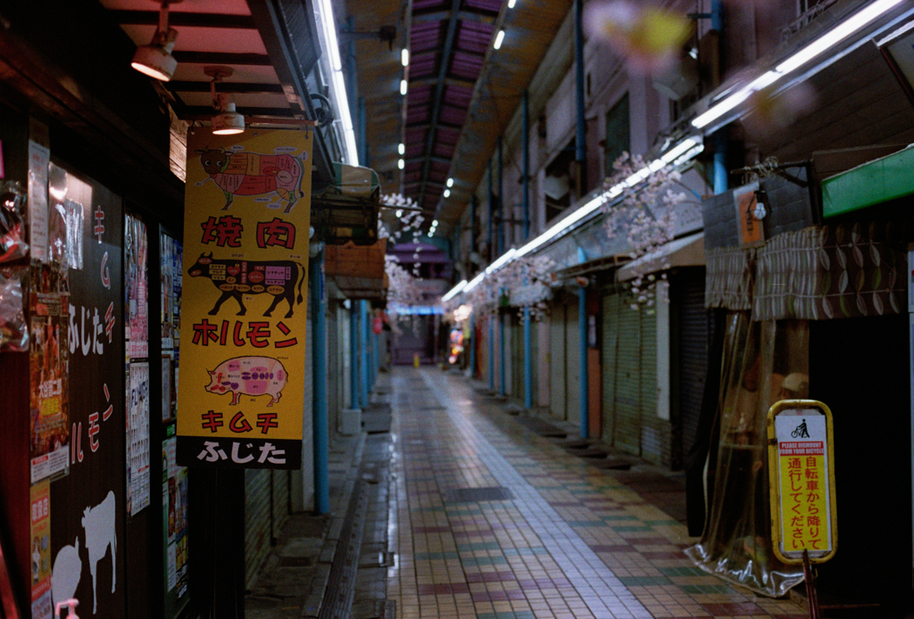 film  　サクラの頃の夜散歩