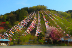 夕べ見たユメの続き