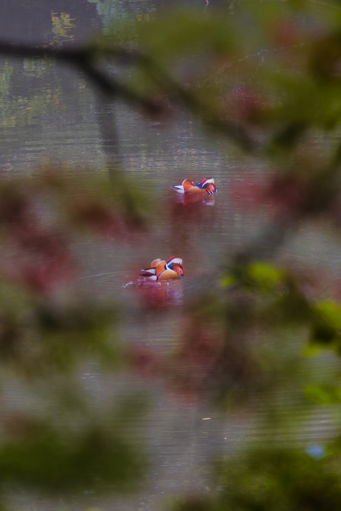 季節の隙間　再現像
