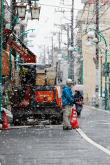 東京に春の雪