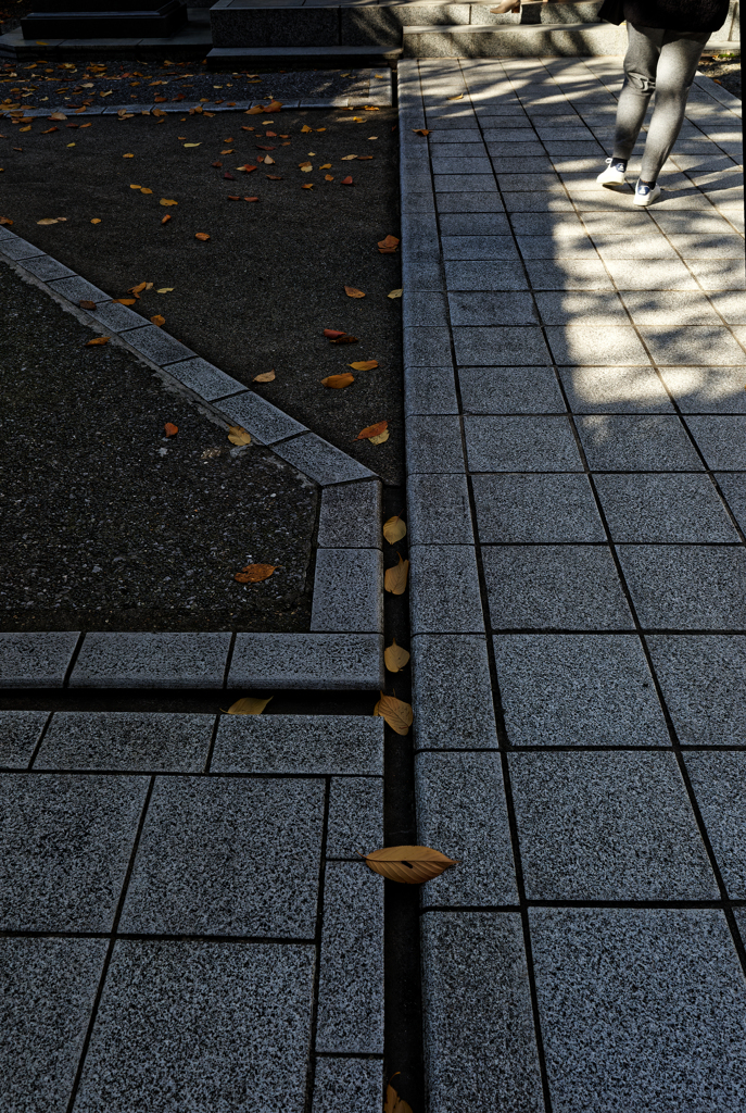 落ち葉橋