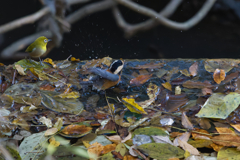 もー あんまり飛沫飛ばさんといて