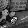 ま、前が見えない！